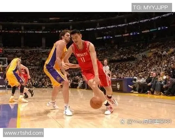 深圳篮球队在篮球节奏排行榜中荣获第五名展现出强劲实力与团队配合