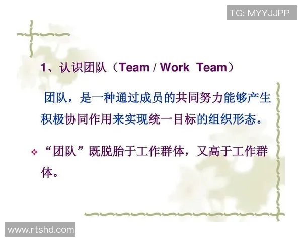 西安足球队团队协作深度解析与其他球队的对比分析