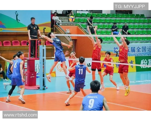重庆排球队心理素质排名第4名展现团队精神与竞技实力的完美结合